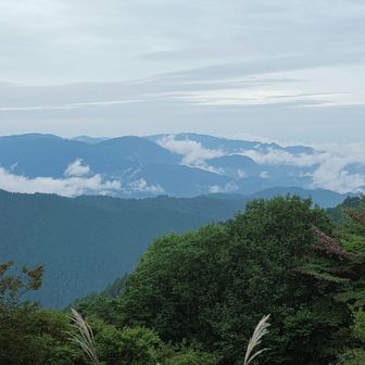 お天気悪め