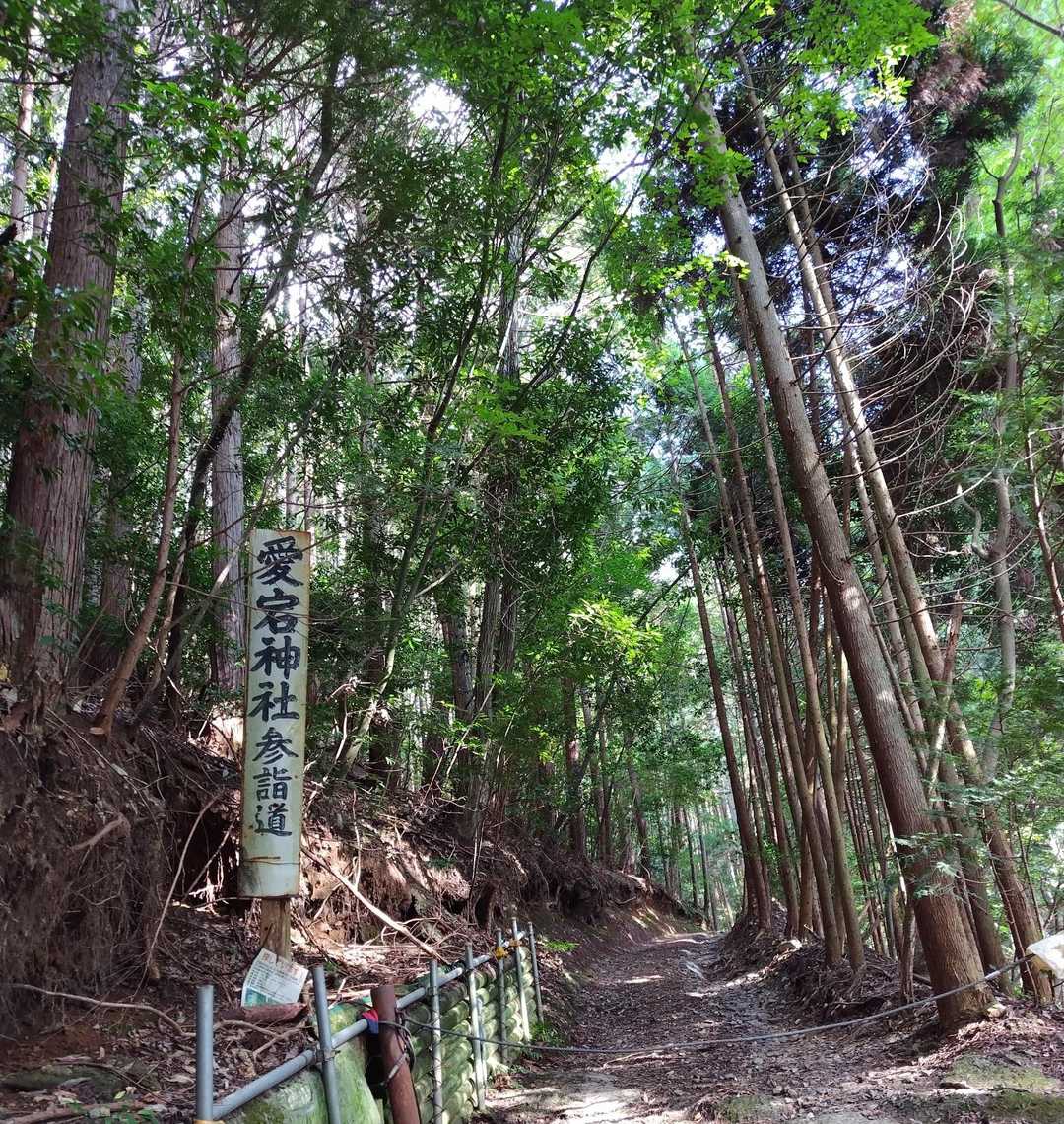 雨上がりの滑りやすい道を慎重に下って無事下山。
気が付くと陽が射していました😅