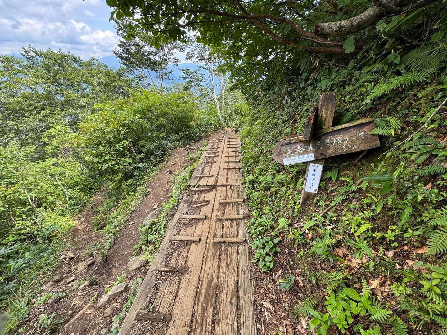 田尻行く人居ないし、熊怖いし
ロープウェイで下山します😭片道1800円