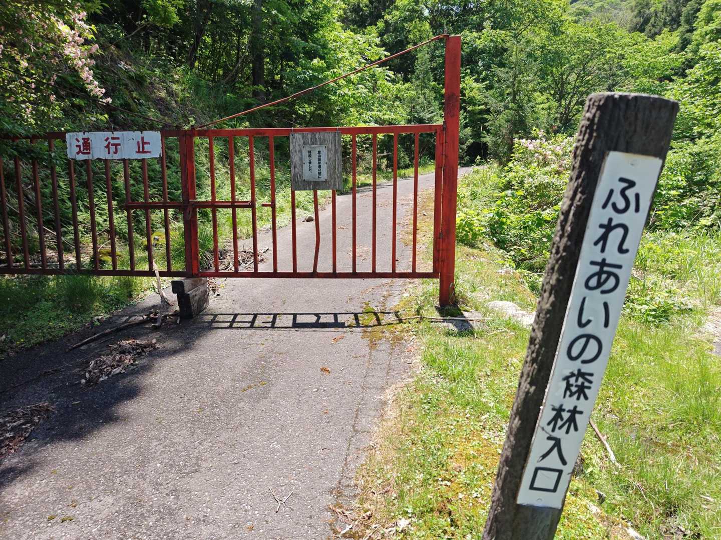ここから。