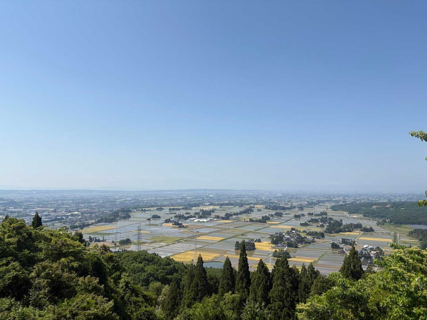 猿倉山-御前山 往復コースの写真