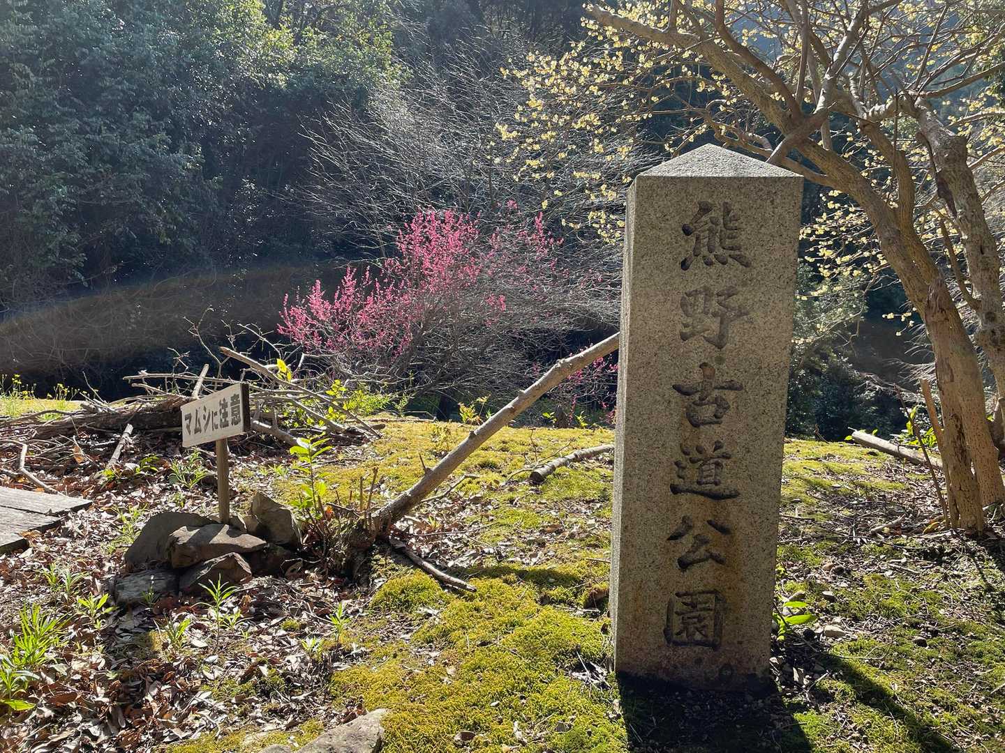 熊野古道公園
