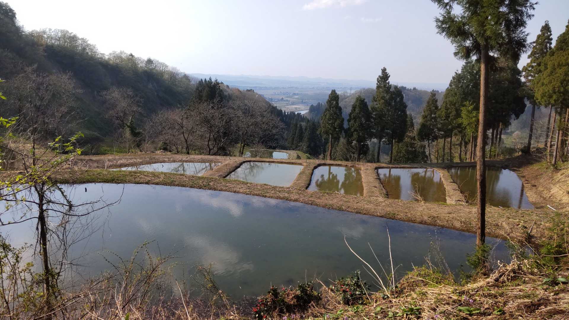 この辺は養鯉池がいっぱい
さすが小千谷