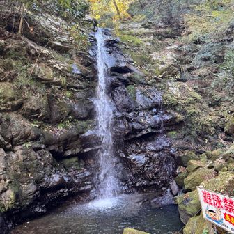 今日はスニーカーですが、一の滝を見に行って見ました🎶