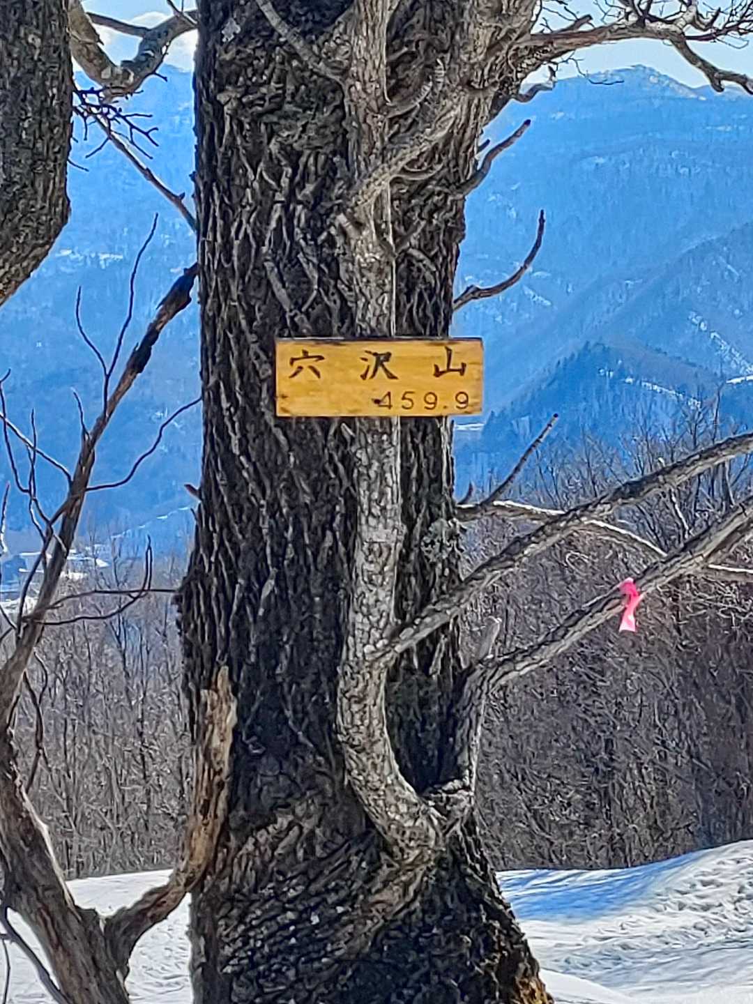 やっと見つけた山頂標識