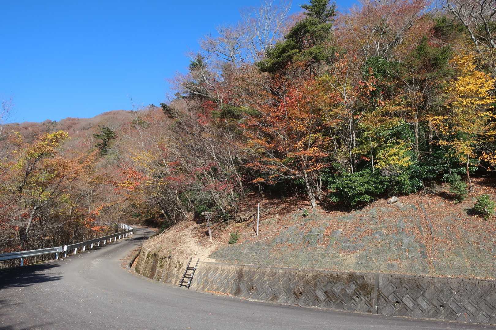 登山口、あのハシゴから登ります