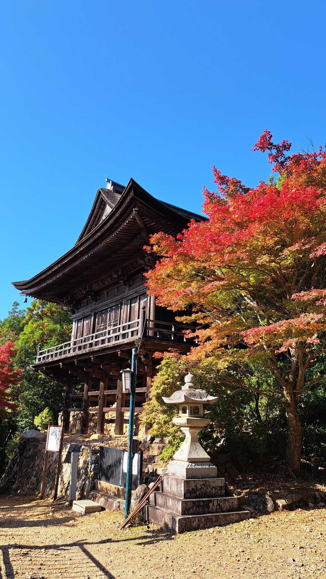 あまりの綺麗さに何回もシャッターをきってしまいます☀