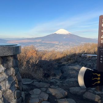 金時山踏破！13ヶ月ぶりの再訪となりますが……