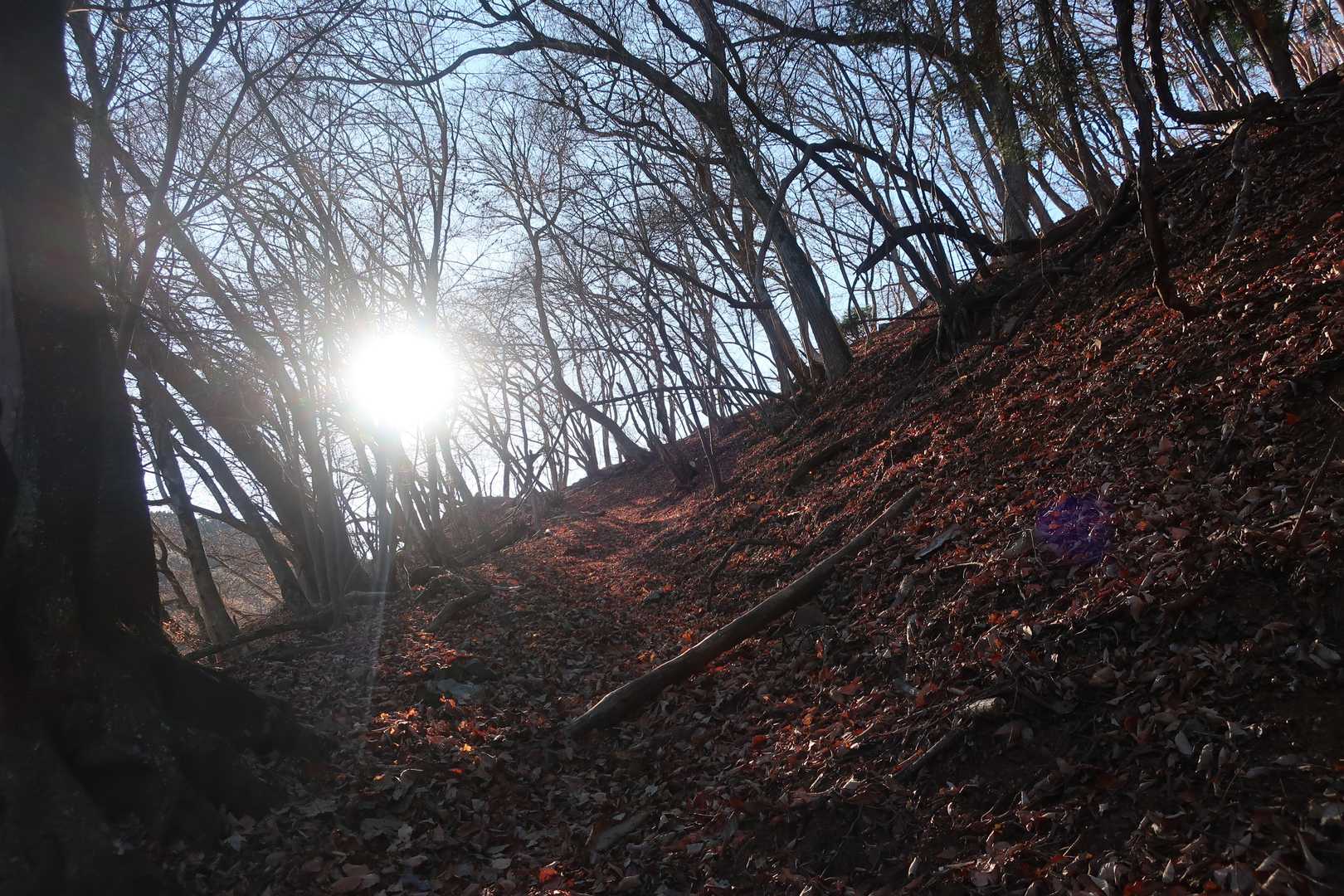 ようやく日の差す所まで上がってきました。