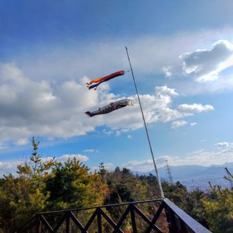 淡路ヶ峠到着❗鯉のぼり気持ち良さそう⤴️
