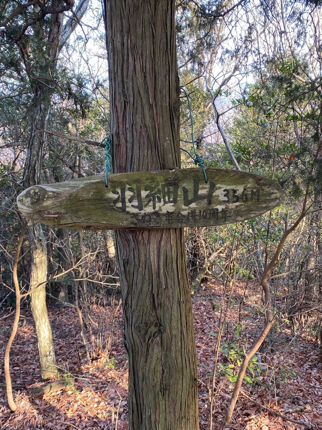 羽細山に到着です。

その次は、YAMAPで山頂登録されていない477のピークまで登った後、下り基調ながらも少し登ったら、