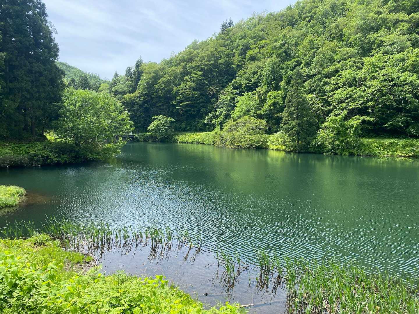 無事下山、貯水池に戻りました。