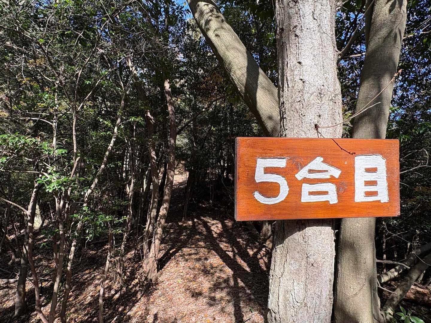 突然の5合目 ( ･ㅂ･)╭