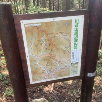 ここでも案内図