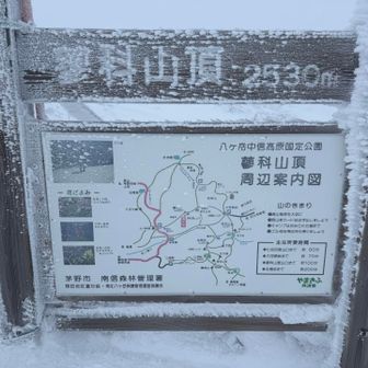 ここから先は蓼科山荘方面
風とトレース無しで諦めましたー