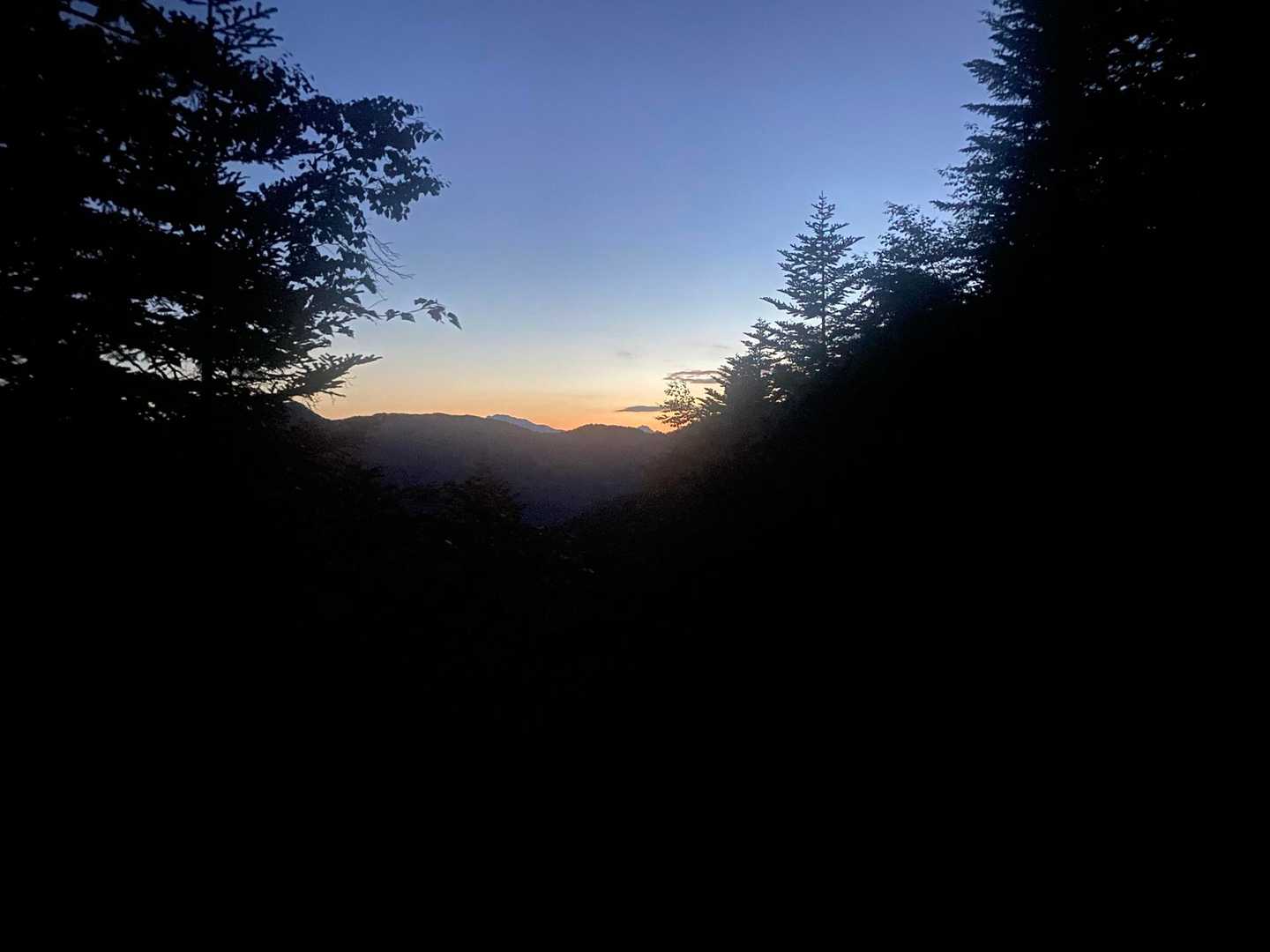 ようやく空が明るくなり始めました🌅