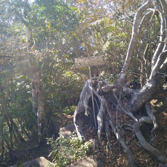 矢筈岳の表示は中々見えにくいです🧐