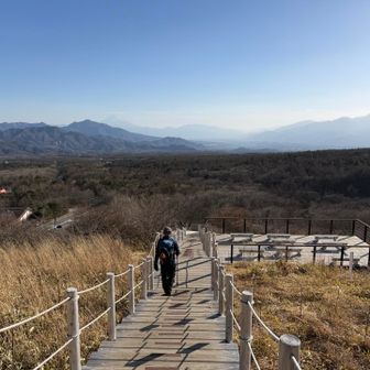 戻って来ました〜！