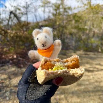 うん、いいね👍
禰󠄀豆子も頂きま〜す