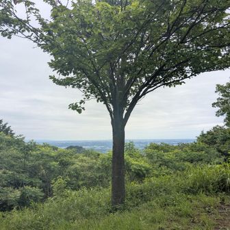 南山