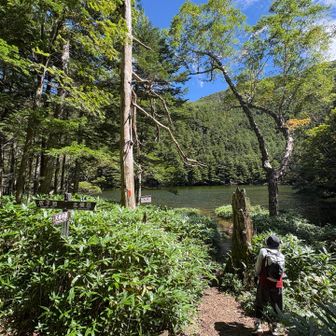 亀甲池到着