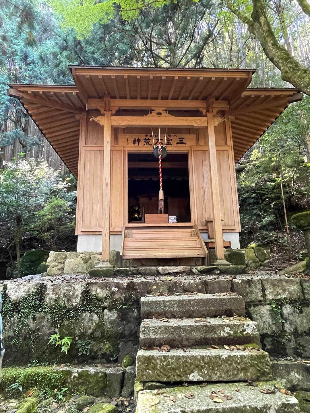 綺麗になってる