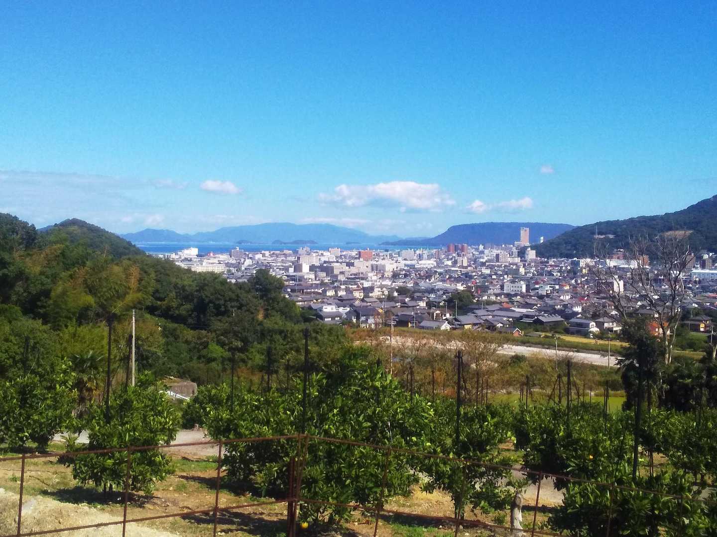 勝賀山 往復コースの写真