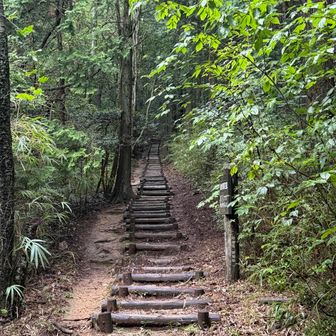 道樹山への登山口はいきなりの長い階段😱