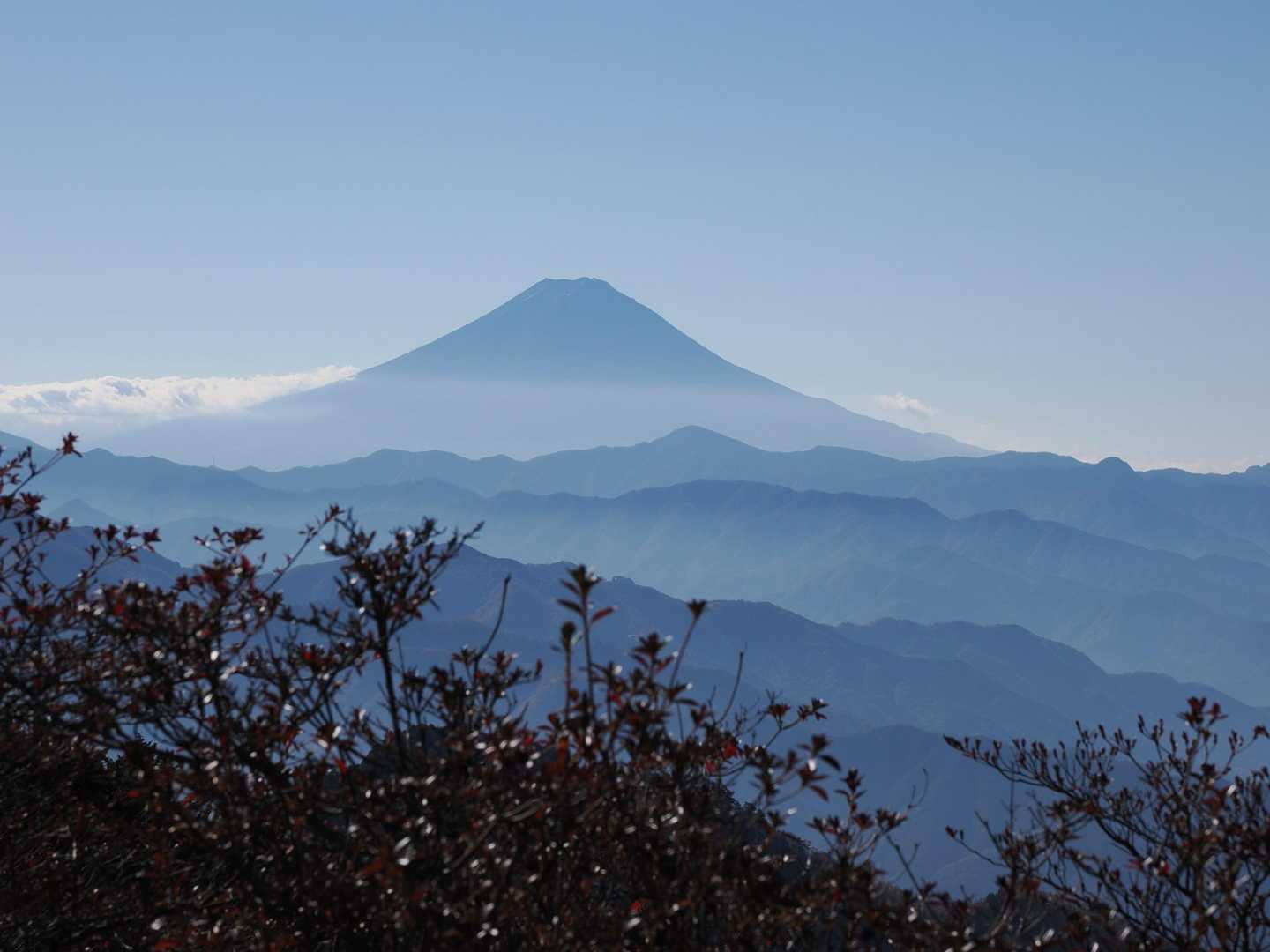 柳沢峠-鈴庫山-ハンゼノ頭 周回コースの写真