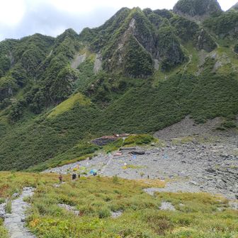 せいチャンネル