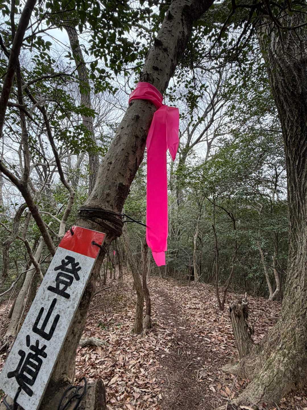 ハッキリくっきりのピンクテープ🎀

感謝🙏