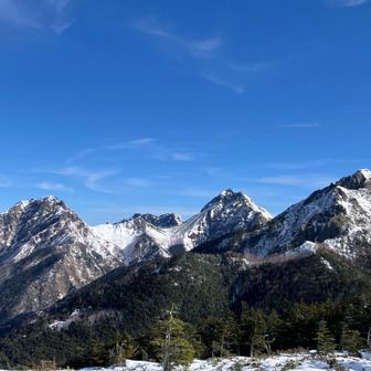 編笠山山頂から
八ヶ岳ブルーとお山たち
ギボシ存在感ある