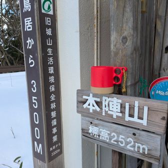こちらでも☕飲んで