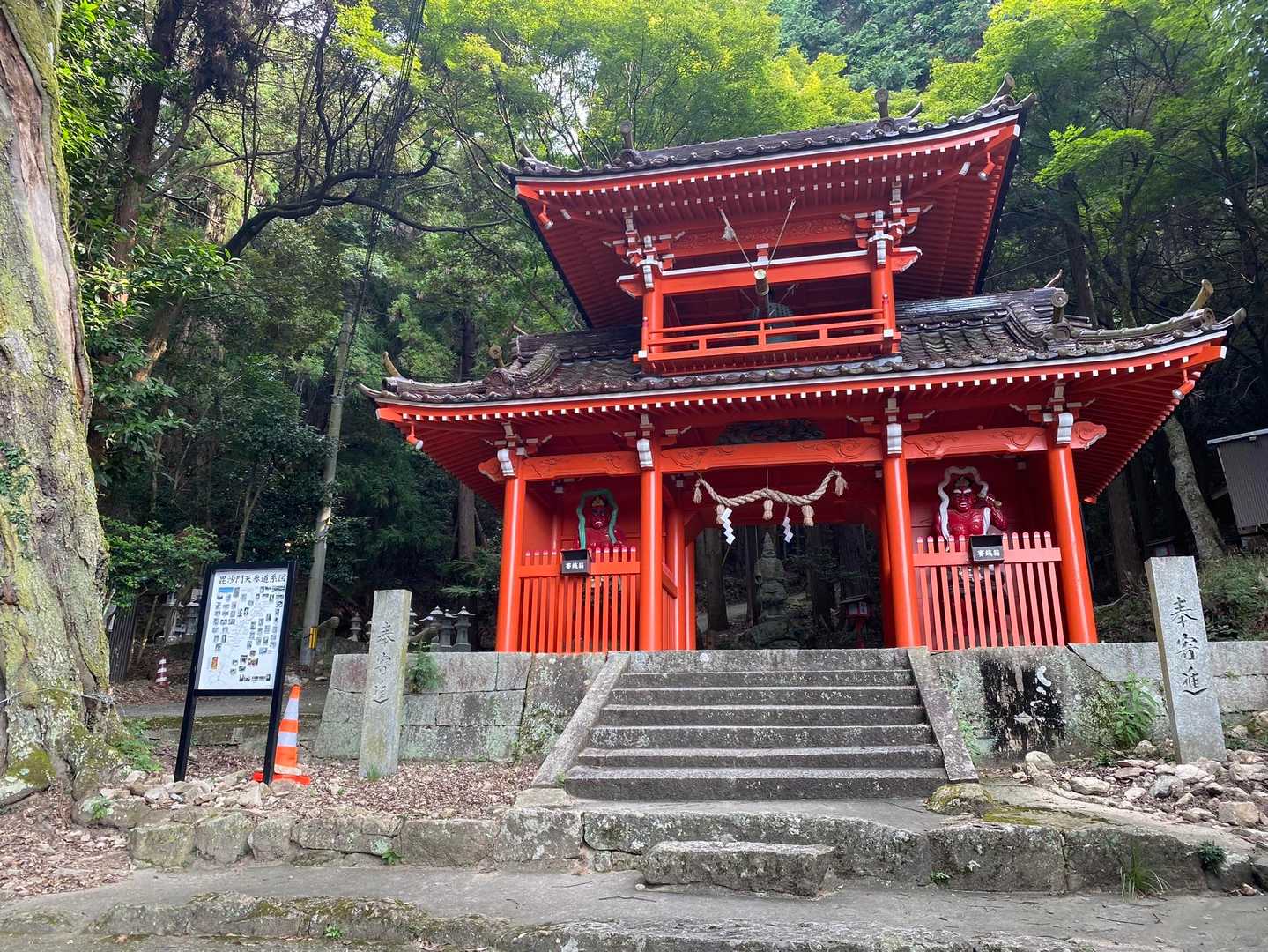 お久しぶりです！
よろしくお願いします🙇‍♀️