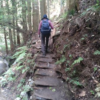 寺谷ルートは、此方を登って行きます🚶