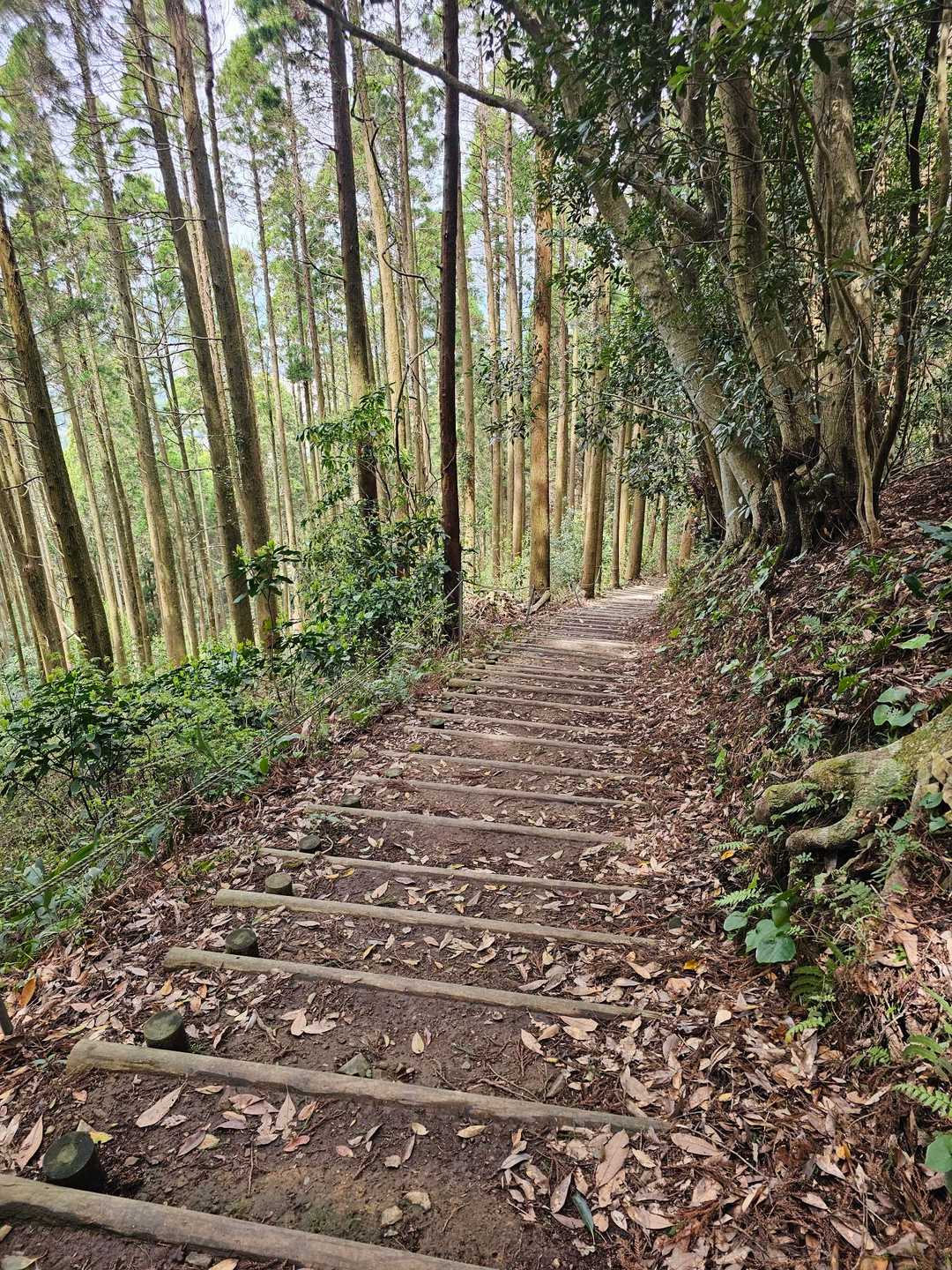 下山へ