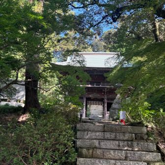 薬王院着いた
帰りに立ち寄ろう