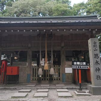 久々に