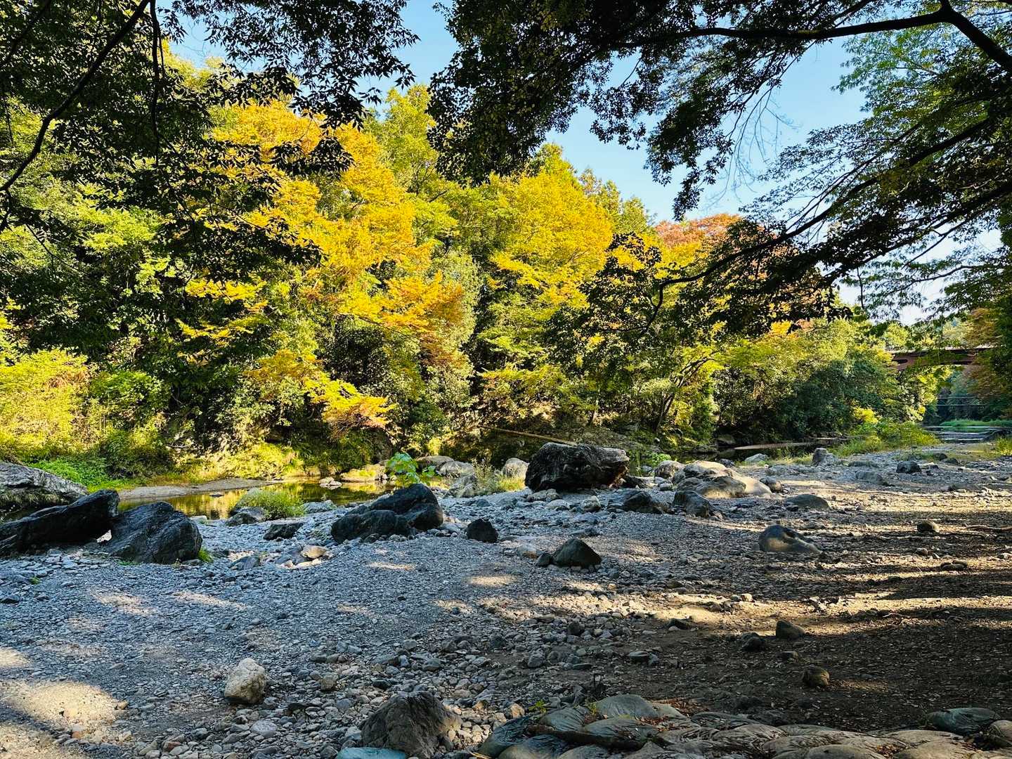 いつもテント張ってるあたり⛺️
また近々来たい⸜(* ॑꒳ˆ * )⋆*🌿🍂🍁