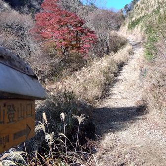 登山口に到着、現地でビックリすんごい斜め😱
