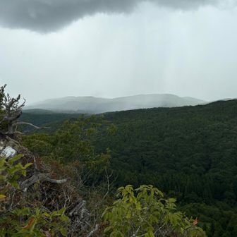 秋吉台方向に雨が降っているようで、この後土砂降りに見舞われました💦