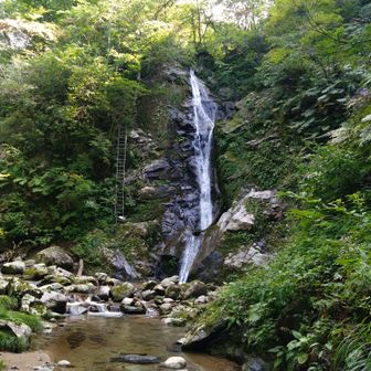 妙に滝の音が大きいなと思ってましたが・・・