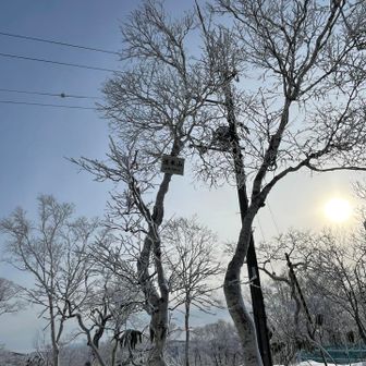 戻って戻って〜1個目のピークの写真🤳こんな高い所にあったんだ🤭気づかなかった笑帰りにパシャリ。