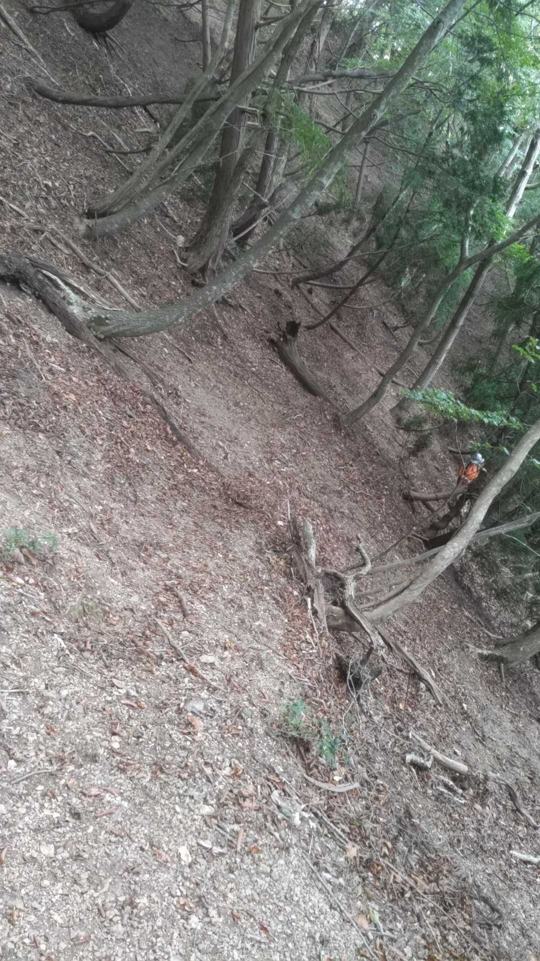 下山も同行者は速かった。
こんなところ私は速く歩けません😵