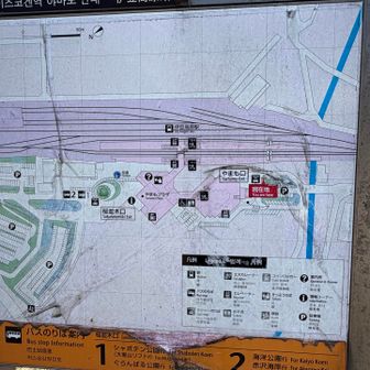 駅の反対側まで来てました。
どうしてこうなった？
途中すれ違ったおばあちゃんが先を歩いていて、抜くの気まずかったw

以上で、城ヶ崎海岸自然研究路ハイキング終了です♪
マジで楽しかった👍