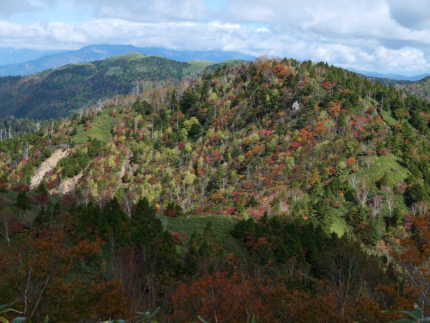 下ってます
大判山もパッチワークばっちり