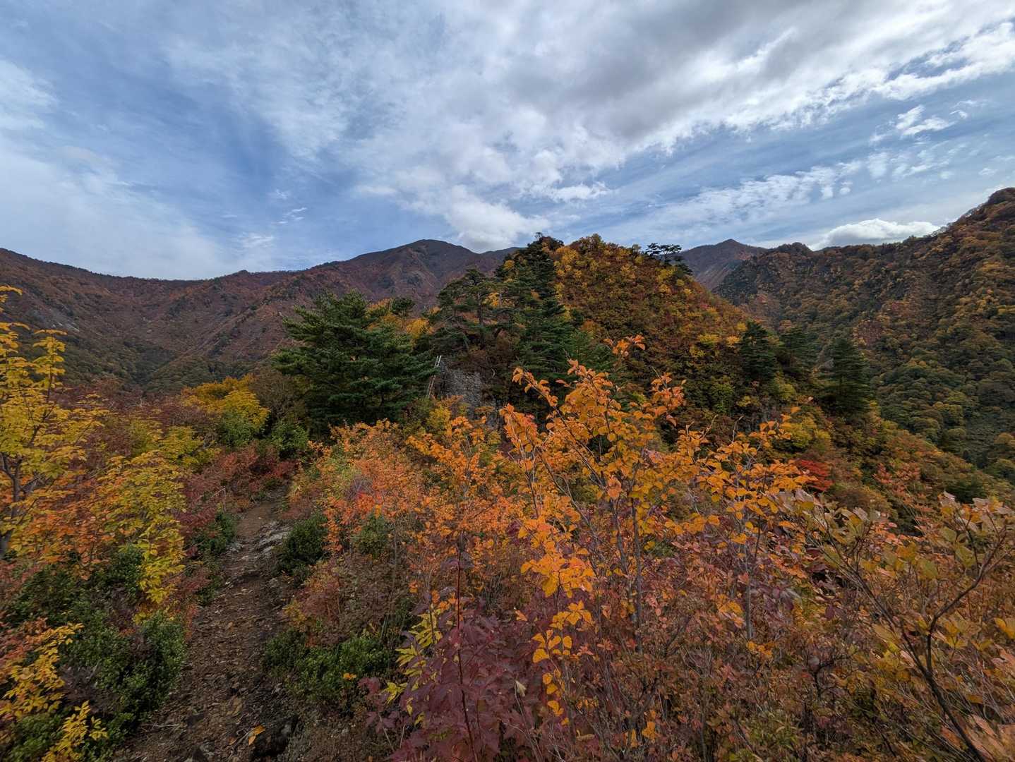 古峰山 往復コースの写真