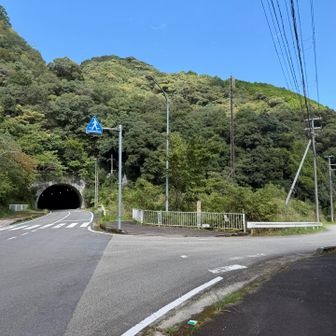 山道はこのトンネルの上を行きます。