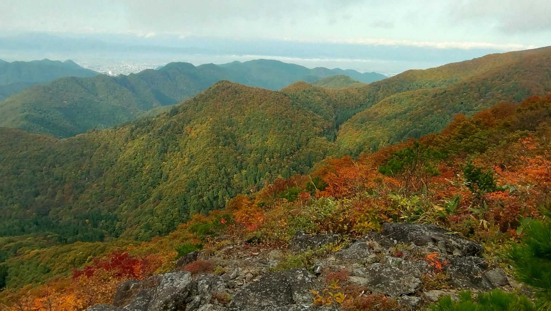やったね🎵🍁
