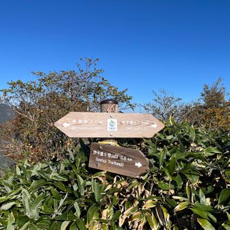 東黒森へ⛰️